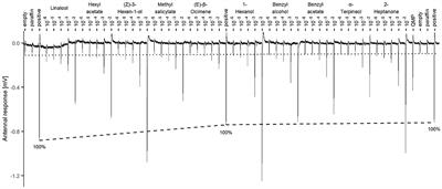 Impact of Chronic Exposure to Two Neonicotinoids on Honey Bee Antennal Responses to Flower Volatiles and Pheromonal Compounds